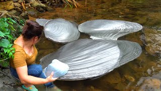 Mutated pearl clams gather in the water as if guarding a huge treasure which is truly rare [upl. by Attennod]