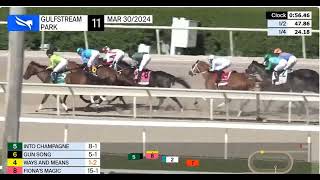 Into Champagne Gulfstream Park Oaks 2024 [upl. by Eilyab802]