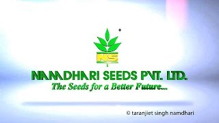 Namdhari Seeds Pvt Ltd  NSPL  Corporate [upl. by Lydia743]