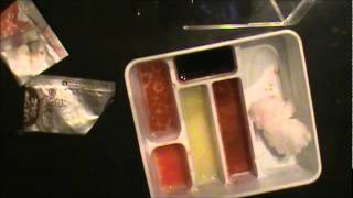 Sushi popin cookin [upl. by Rutherford]