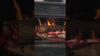 Chauffage au poêle 🔥 holidayswithyoutube flamme feu forêt bois [upl. by Ahtebat]