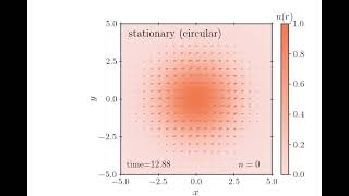 Stationary circularly polarized nonrelativistic Proca star [upl. by Ahsinyar]