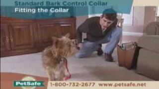 PetSafe Standard Bark Control Collar Tips [upl. by Westley]