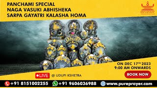 Naga Panchami Special  Naga Gayatri Kalasha Homa with Abhisheka amp Ashlesha Bali Puja [upl. by Jamnis]