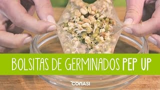 Bolsitas de germinados PEP UP  La forma más fácil de germinar [upl. by Josler638]