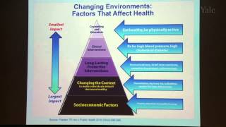 Decreasing Global Noncommunicable Disease by Reducing Risky Behaviors [upl. by Einej]