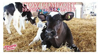 Cow Comfort On Honey Creek Dairy [upl. by Gladstone]