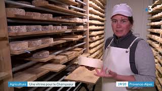 Salon de lagriculture  la tomme du Champsaur dans les HautesAlpes veut son AOP [upl. by Erhard]