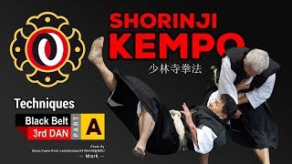 Techniques of Shorinji Kempo Black Belt 3rd DAN part A [upl. by Ifar614]