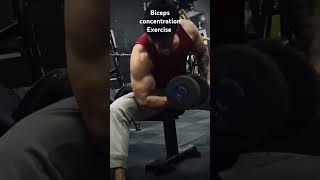 Maza aa gaya biceps concentration exercise kar ke [upl. by Suiddaht]