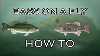 Bass On A Fly  How To [upl. by Ellga]