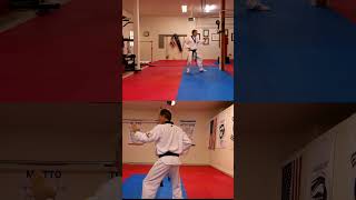 Taekwondo Poomsae Taegeuk Oh Jang No5 How to Learn Front and Back Views Togethertaekwondopoomsae [upl. by Thevenot]