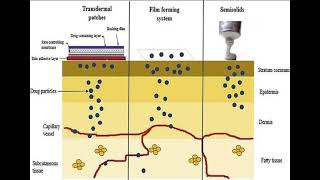 LEC 3 Target Sites in Topical and Transdermal Drug Delivery شرح بالعربي [upl. by Afrikah]