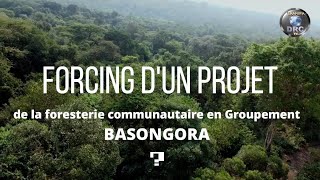 FORCING DU PROJET DE LA FORESTERIE COMMUNAUTAIRE EN GROUPEMENT BASONGORA [upl. by Elsinore]