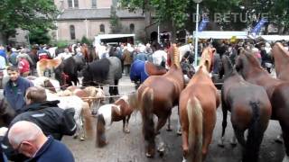 Elster Paardenmarkt 2011 09 05 [upl. by Elnore574]