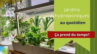 Mes jardins hydroponiques au quotidien [upl. by Wein]