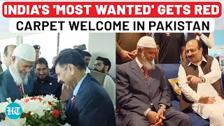 After Jaishankar Exposes Pakistan Radical Fugitive Zakir Naik Gets Grand Welcome In Islamabad [upl. by Stearne]