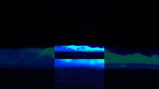 Bioluminescence water in Chennai beach today bioluminescentwaves cyanobacteria yt shorts [upl. by Iseabal]