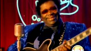 BB King  My Lucille 1985 [upl. by Yahsan707]