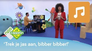 HET IS WINTER BIBBER BIBBER  Kinderliedjes zingen met Fenna  NPO Zappelin [upl. by Damita399]