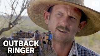 A tough crew muster feral cattle in outback Australia  Outback Ringer [upl. by Nolrah305]