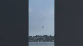 Seafair 2024 music aviation fighterjet [upl. by Ydner520]