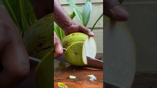 pure green coconut coconutcutting greencoconut [upl. by Novick174]