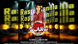 ✔✔🎶⚡RASPA CANILLA ✘ Oro Sound El Aluvion Musical ✘ Prod By Dj David El Nio de Oro✔✔🎶⚡ [upl. by Aziram]