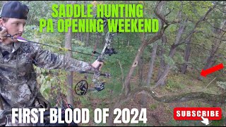 Saddle Hunting Success  PA Opening Day Weekend  First Blood of the Year [upl. by Webber482]