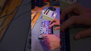 korg volca mod into Chroma Console chromaconsole korg korgvolca [upl. by Yalc915]