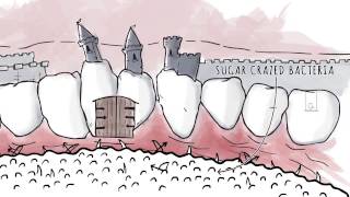 How Xylitol Works  Spry Dental Defense from Xlear [upl. by Aneloaup]