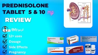 Prednisolone 5mg  Prednisone  Prednisolone Dispersible Tablets 10 mg in Hindi  Medical Creator [upl. by Medorra]