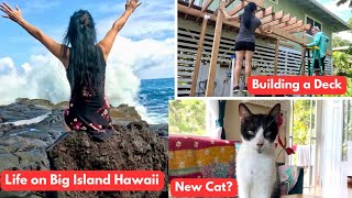 Living in Pahoa Big Island VLOG  Building a Deck  Abandoned Cat [upl. by Eintruoc909]