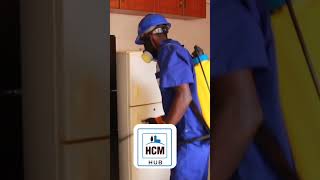 How to get rid of small cockroaches in the kitchen pestcontrolservices fumigation [upl. by Fonseca200]