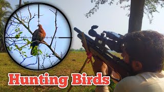 Best birds Hunt with PCP Air Rifle MYNA BIRD HUNT [upl. by Yvette]