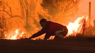 Hero Who Rescued Rabbit from Fire Checks in on it at Wildlife Center [upl. by Adnicul]