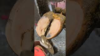 Relaxing Hoof Restoration Transformation ASMR [upl. by Hajin]