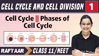 Cell Cycle and Cell Division 01  Cell Cycle  Phases of Cell Cycle  Class 11NEET  RAFTAAR [upl. by Elleral]