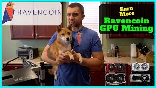 How To Mine Ravencoin  Best Wallet  Best RVN Miner  Increase Mining Profits [upl. by Portugal]