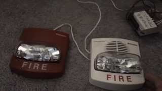 Simplex TrueAlert 49069134 ChimeStrobe Fire Alarm Test [upl. by Ahtel]