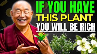 ⚠️Get Rich Fast 5 Plants That Will Make You Rich 🌿💰  Buddhist Teachings [upl. by Drarej]