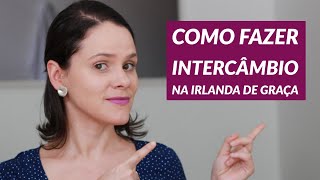 Como fazer intercâmbio na Irlanda de graça Government of Ireland Scholarship  Partiu Intercâmbio [upl. by Awjan870]