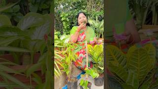 RRR Nursery Part12 comedy shorts richakka [upl. by Eisenberg]