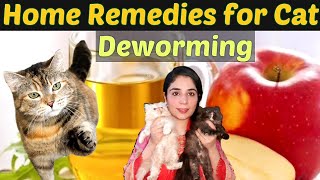 What home remedy can I use to deworm my cat Best Remedies For Cat Deworming  DrHira Saeed [upl. by Ivanna318]