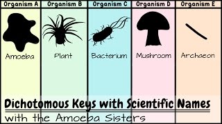 Dichotomous Keys Identification Achievement Unlocked [upl. by Atirys]