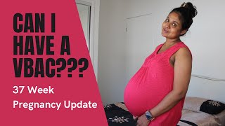 37 Week Pregnancy Update  Belly Shot  Full Term  Better Chance for a VBAC pregnancy babygirl [upl. by Mandle61]