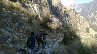 Rohru Jana Meri Amiye wwwDjhimachalin [upl. by Audres]