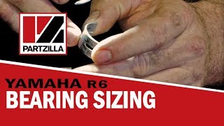 Sizing the Bearings on a Yamaha R6  Partzillacom [upl. by Ajssatsan699]