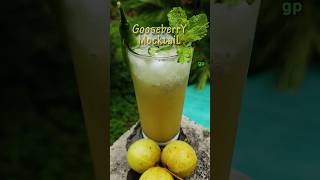 Gooseberry Mocktail  Healthy Refreshing Amla Drink shorts healthydrink amla honey mocktail [upl. by Isla]