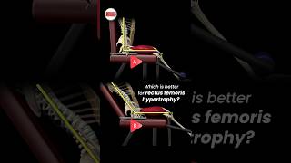 Which is better for rectus femoris hypertrophy [upl. by James]